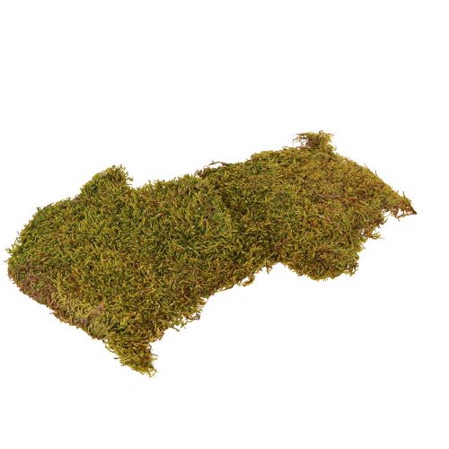 Dekorativní mech na výrobu světle zeleného přírodního mechu konzervovaného 150g