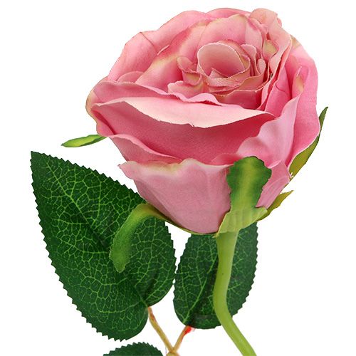 Floristik24 Deko růže Ø6cm stará růže L50cm 1ks