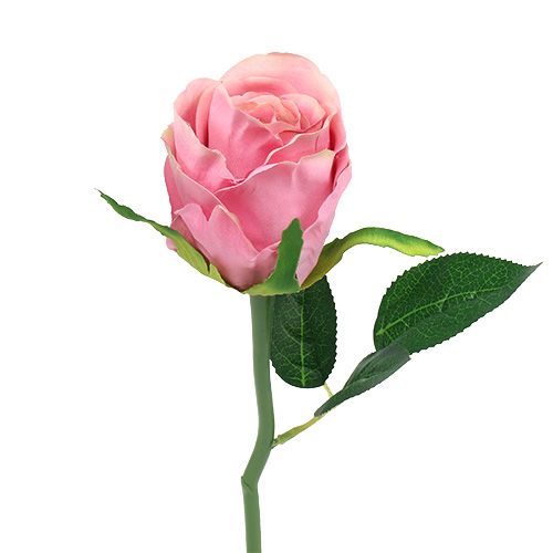 Floristik24 Deko růže Ø6cm růžová L30cm 6ks