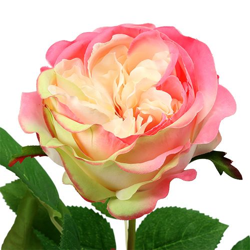 položky Deco rose pink Ø10cm 52cm 3ks