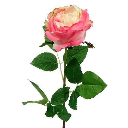 Floristik24 Deco rose pink Ø10cm 52cm 3ks