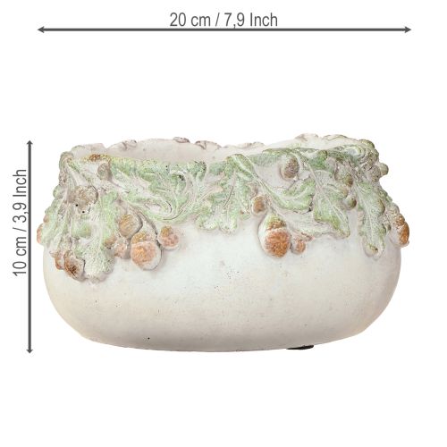položky Dekorativní miska z litého kamene, žaludy, květináč Ø20cm V10cm
