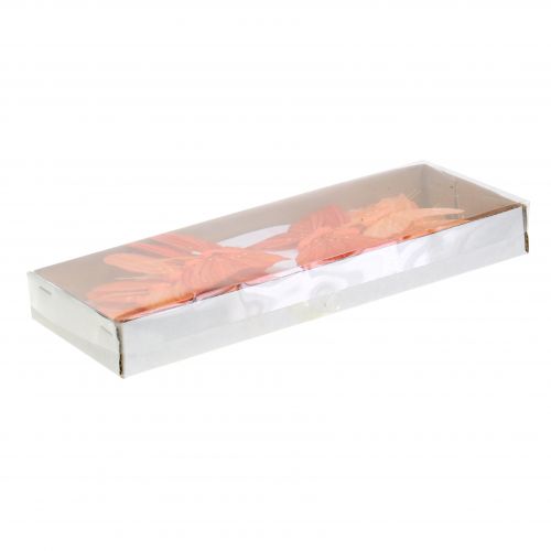 Floristik24 Deco motýl oranžová 12ks
