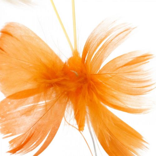 položky Motýlci v odstínech oranžové, jarní dekorace Motýlci z peří na drátě 6ks
