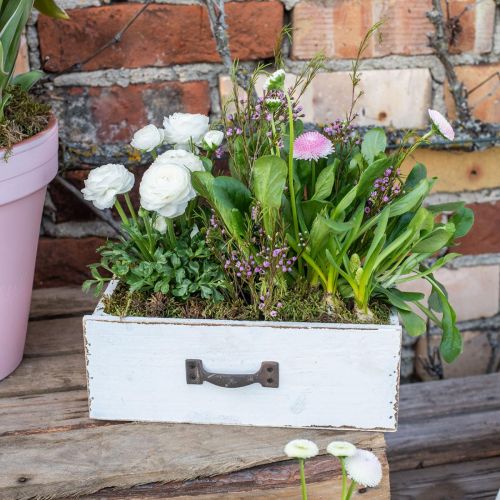 Floristik24 Dekorativní zásuvka bílá truhlík na rostliny dřevo vintage vzhled 25×13×8cm