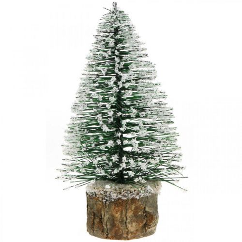 Floristik24 Vánoční dekorace, ozdobný stromeček, mini jedle zelená se sněhem V15cm Ø9,5cm 6 ks