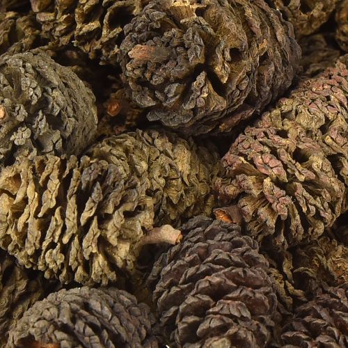 položky Dekorační šišky z olšového dřeva přírodní na zdobení 3-4 cm 200 g