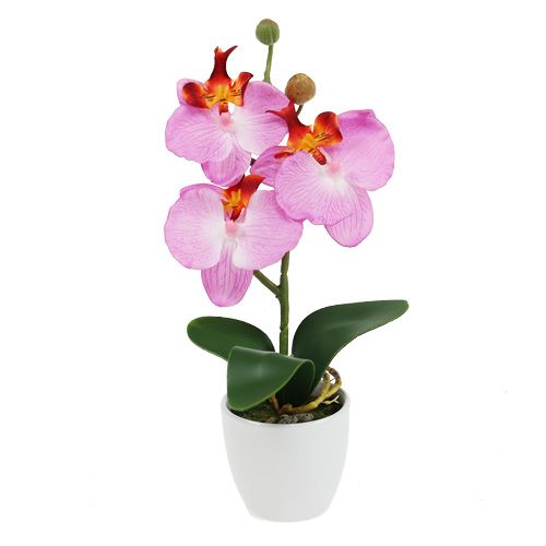 Floristik24 Dekorativní orchidej v květináči růžová V29cm