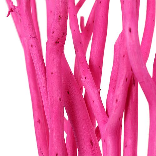 Floristik24 Ozdobné větve Mitsumata 45-60cm růžové 12 ks
