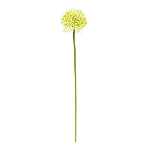 Floristik24 Deco allium cream Ø6,5cm L39cm
