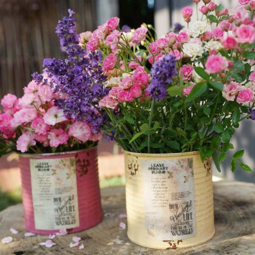 položky Dekorativní plech, meruňkový, kovový květináč, letní dekorace, Ø15,5 cm V15 cm