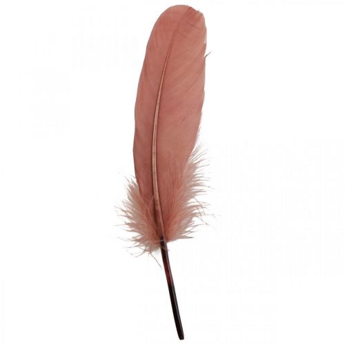 Dekorativní peříčka pro ruční práce Tmavě růžové pravé ptačí peří 20g