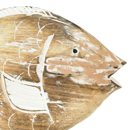 Floristik24 Dekorativní rybí dřevěný stojan na kořenovou námořní dekoraci 27cm