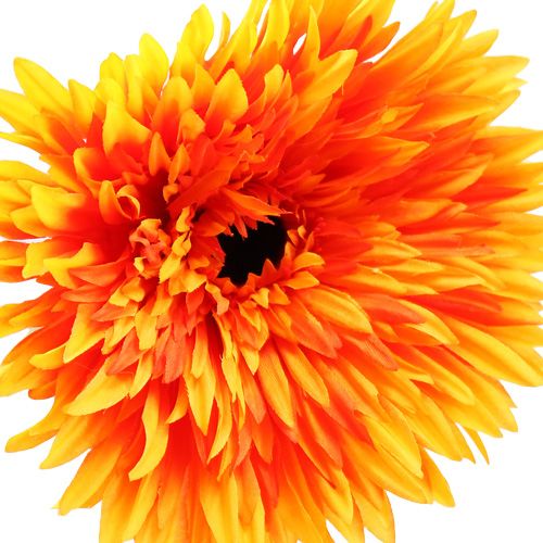 Floristik24 Deco gerbera oranžová Ø15cm L88cm