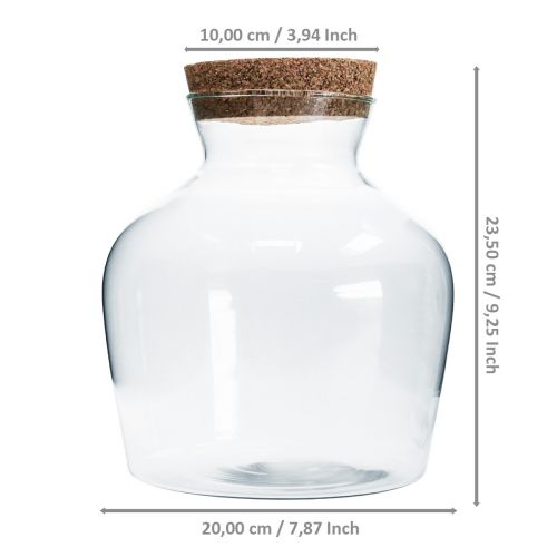 Floristik24 Dekorativní sklo s korkem Dekorativní váza čirá baňatá Ø20cm V21cm