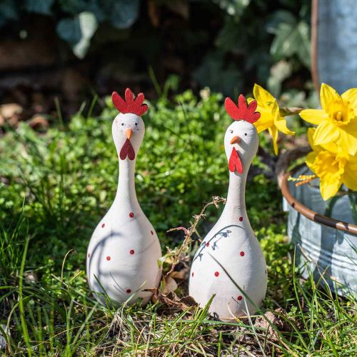 Floristik24 Dekorativní kuřecí dřevo bílé s tečkami Velikonoční figurka Ø7cm V20cm