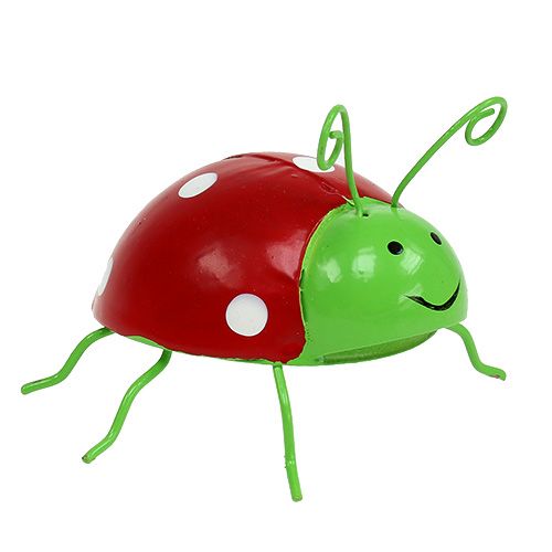 Floristik24 Deco brouk různé barvy 8cm 3ks