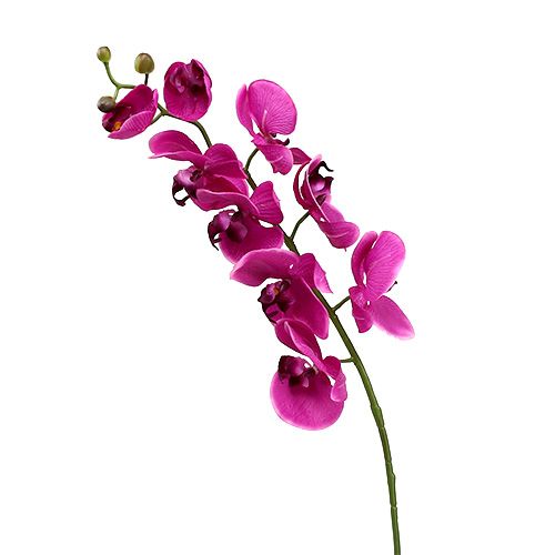 Floristik24 Dekorativní orchidej růžová L77cm