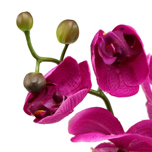 Floristik24 Dekorativní orchidej růžová L77cm