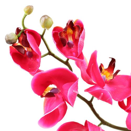 položky Dekorativní orchidej ve fuchsiové barvě 77cm