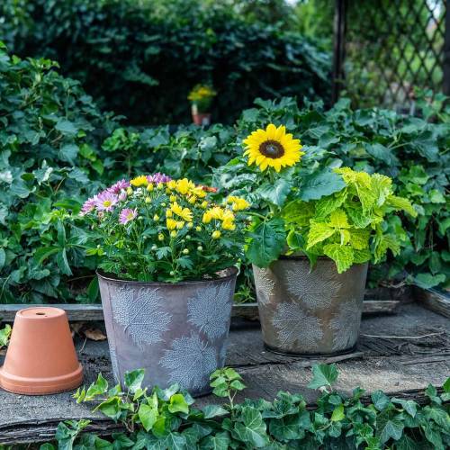 Floristik24 Dekorativní květináč s listy zinkově šedá, oranžová, hnědá Ø26cmV22cm 3ks