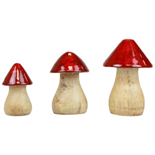 položky Dekorativní houby dřevěné houby červený lesk podzimní dekorace V6/8/10cm sada 3 ks