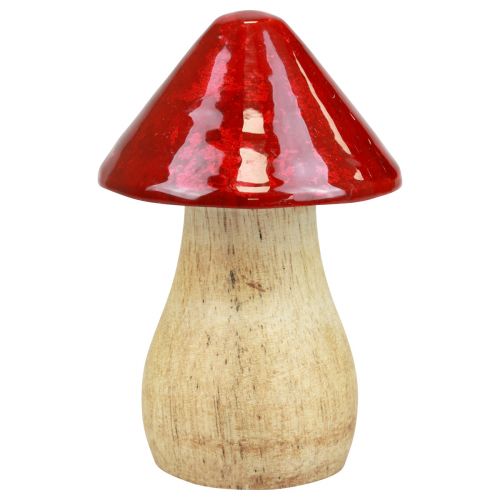 položky Dekorativní houby dřevěné houby červený lesk podzimní dekorace V6/8/10cm sada 3 ks