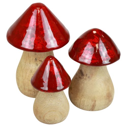 položky Dekorativní houby dřevěné houby červený lesk podzimní dekorace V6/8/10cm sada 3 ks