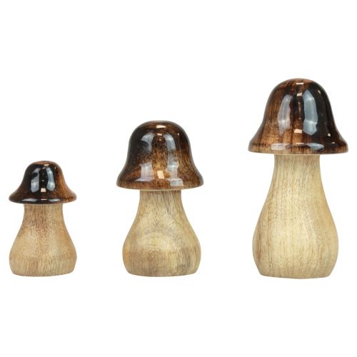 položky Dekorativní houby dřevěné houby hnědý lesk efekt podzimní dekorace V6/8/10cm