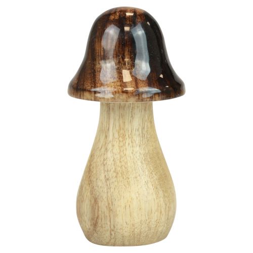 položky Dekorativní houby dřevěné houby hnědý lesk efekt podzimní dekorace V6/8/10cm