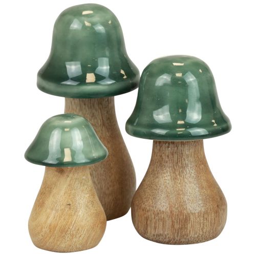 položky Dekorativní houby dřevěné houby tmavě zelené lesklé H6/8/10cm sada 3 ks