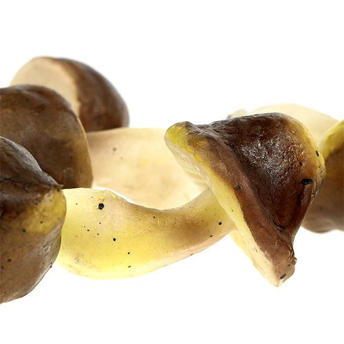 Floristik24 Dekorativní houby v síti 5-8cm různé. hnědá 8ks