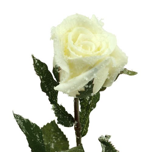 položky Dekorativní růže bílá zasněžená Ø6cm 6ks