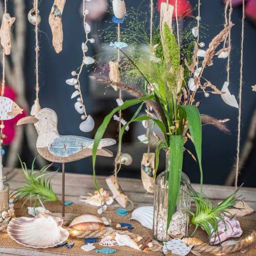 Floristik24 Dekorativní tillandsie zelená 16cm 4ks