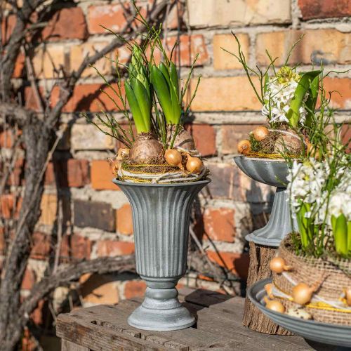 Floristik24 Dekorativní váza vintage šálek váza pohárek váza šedá V21,5cm Ø15cm