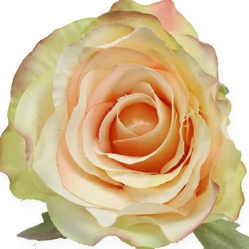 Floristik24 Umělé hlavičky růží Ø9cm 6ks
