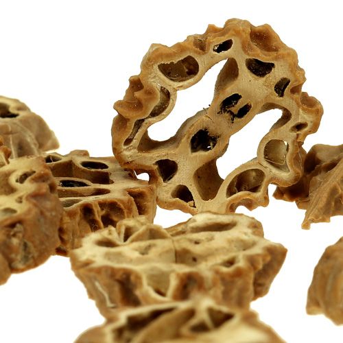 Floristik24 Ořechové plátky 2cm přírodní 250g