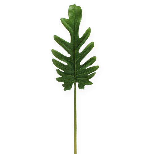 Ozdobné listy filodendron zelený š11cm d34cm 6ks