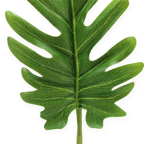 Floristik24 Ozdobné listy filodendron zelený š11cm d34cm 6ks