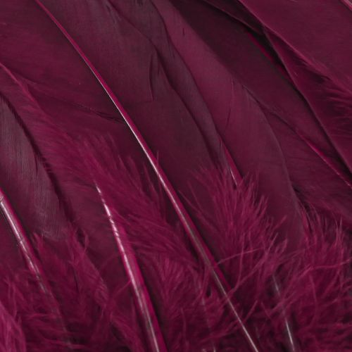 položky Dekorativní peří burgundy husí peří řemeslné potřeby 20g x 2ks