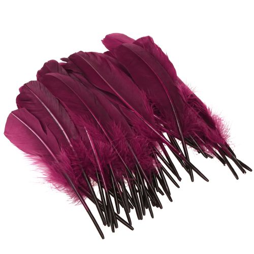 položky Dekorativní peří burgundy husí peří řemeslné potřeby 20g x 2ks