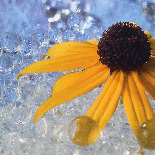 Floristik24 Deco gel Aqualinos 15g transparentní