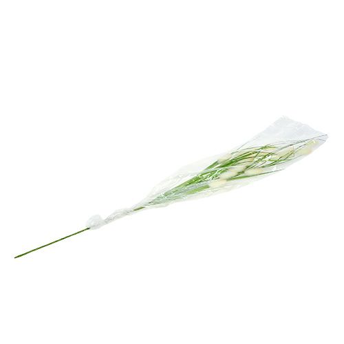 Floristik24 Dekorativní trávově zelená L85cm