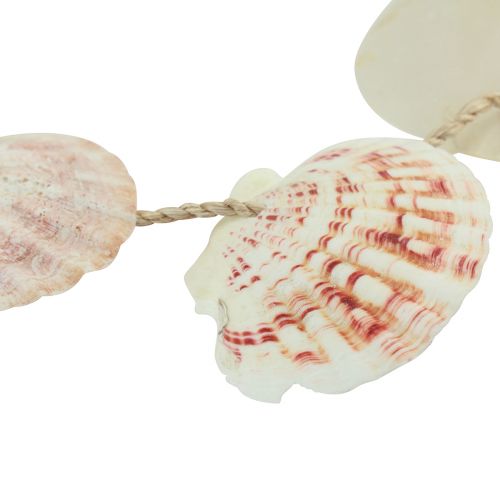 položky Dekorační věšák dekorace námořní mušle přírodní Ø5–10cm 70cm