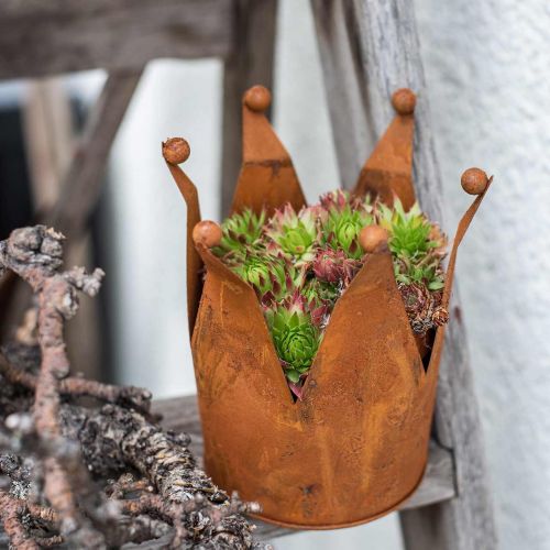 Floristik24 Ozdobná korunka, kovové zdobení, patina Ø15cm V11,5cm