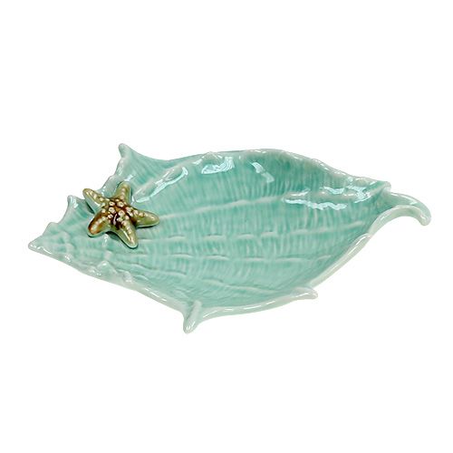 Floristik24 Ozdobná mušle 22cm