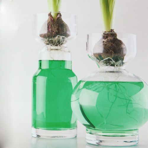 Floristik24 Dekorativní vodní zelená 150ml