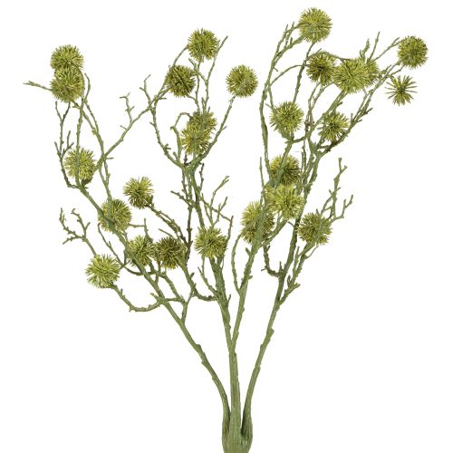 Floristik24 Dekorativní větev ambry, plody světle zelené 48cm