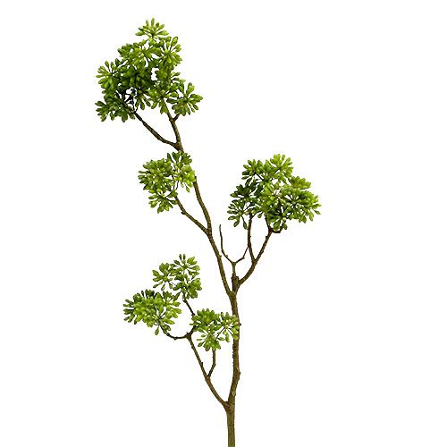 Floristik24 Deco větev zelená 80cm