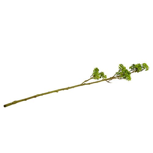 Floristik24 Deco větev zelená 80cm